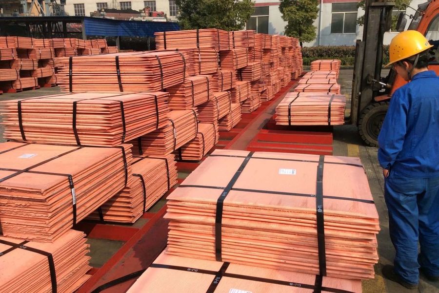 중국 Jiangsu Xintaiming Technology Co., Ltd. 회사 프로필